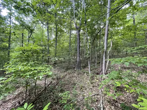 tbd River Oaks Trl, Mammoth Spring, AR 72554 photo 12