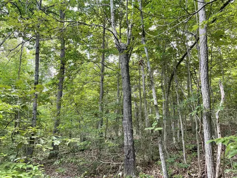 tbd River Oaks Trl, Mammoth Spring, AR 72554 photo 13