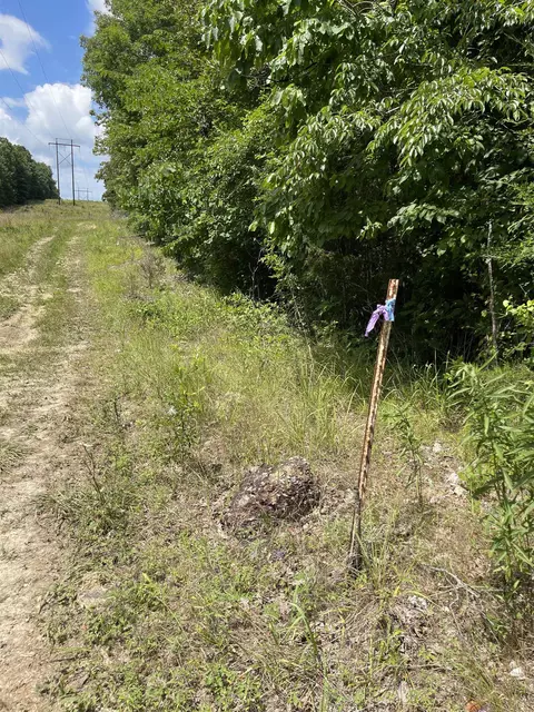 tbd River Oaks Trl, Mammoth Spring, AR 72554 photo 7