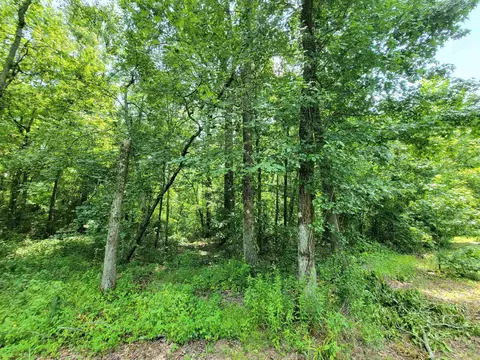 117 Maywood Dr, Ward, AR 72176 photo 11