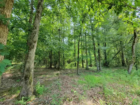 117 Maywood Dr, Ward, AR 72176 photo 3
