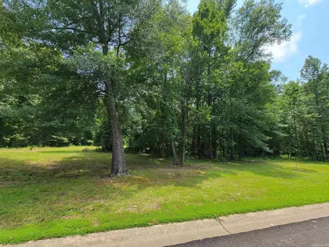 117 Maywood Dr, Ward, AR 72176 photo 8