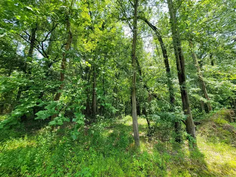117 Maywood Dr, Ward, AR 72176 photo 9