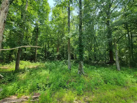 117 Maywood Dr, Ward, AR 72176 photo 10