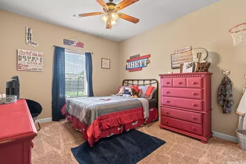 195 Meadow Trl, Austin, AR 72007 photo 24