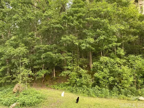 2101 Round Bottom Rd, Mountain View, AR 72560 photo 16