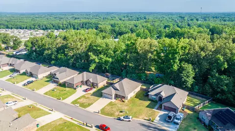 767 Mango Loop, Austin, AR 72007 photo 6