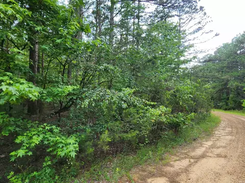 0 Coyne And Elderberry Way, Fairfield Bay, AR 72088