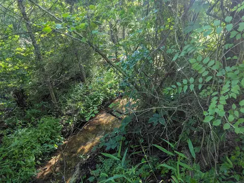 tbd Hopewell Hollow Rd, Norfork, AR 72658 photo 5