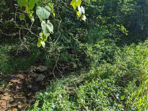 tbd Hopewell Hollow Rd, Norfork, AR 72658 photo 3