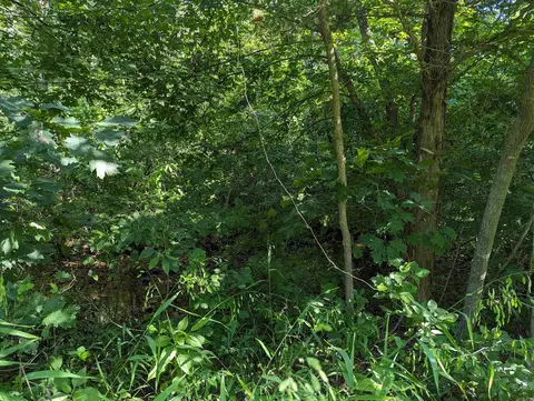 tbd Hopewell Hollow Rd, Norfork, AR 72658 photo 7