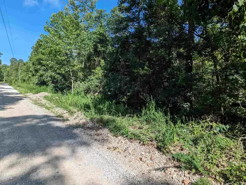 tbd Hopewell Hollow Rd, Norfork, AR 72658 photo 12