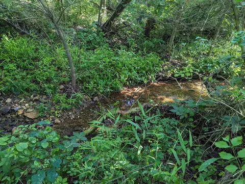 tbd Hopewell Hollow Rd, Norfork, AR 72658 photo 11
