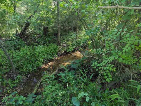 tbd Hopewell Hollow Rd, Norfork, AR 72658 photo 10