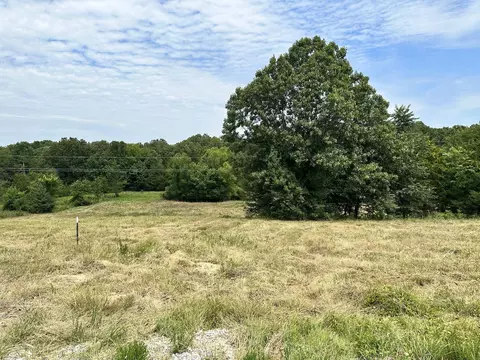 189 Cardinal Ln, Viola, AR 72583 photo 20