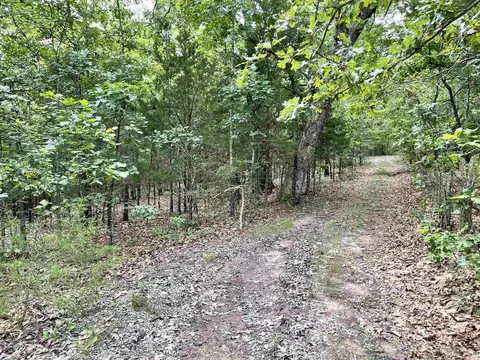 tbd Dove Rd, Gepp, AR 72538 photo 6