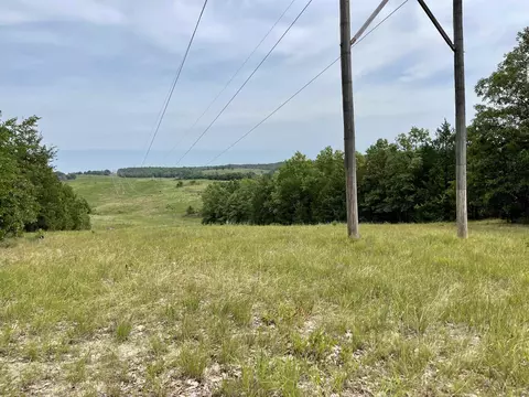 tbd Dove Rd, Gepp, AR 72538 photo 21