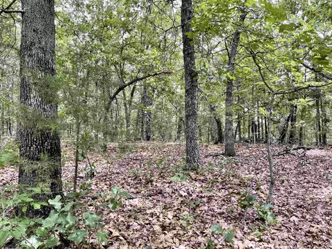 tbd Dove Rd, Gepp, AR 72538 photo 23
