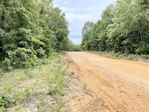 tbd Dove Rd, Gepp, AR 72538 photo 3