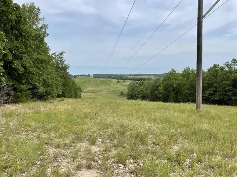 tbd Dove Rd, Gepp, AR 72538 photo 19