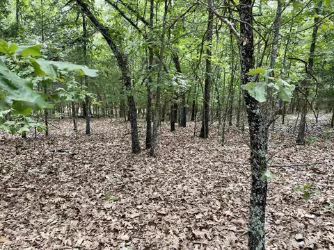 tbd Dove Rd, Gepp, AR 72538 photo 10