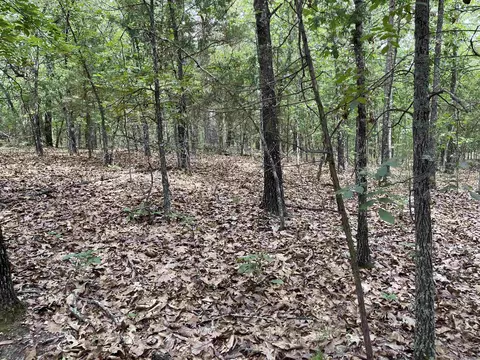 tbd Dove Rd, Gepp, AR 72538 photo 2