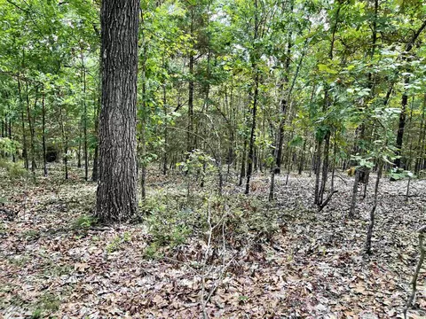 tbd Dove Rd, Gepp, AR 72538 photo 31
