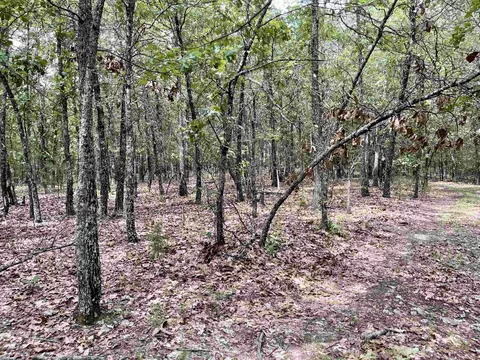 tbd Dove Rd, Gepp, AR 72538 photo 25