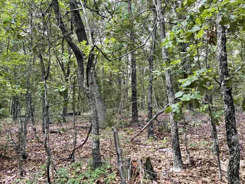 tbd Dove Rd, Gepp, AR 72538 photo 1