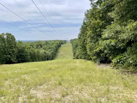 tbd Dove Rd, Gepp, AR 72538 photo 18