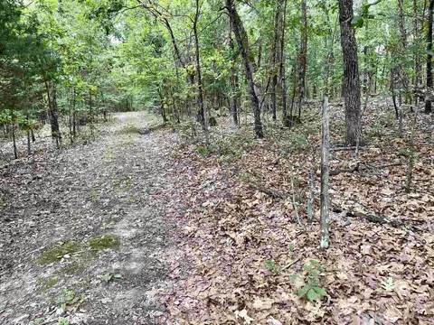 tbd Dove Rd, Gepp, AR 72538 photo 7