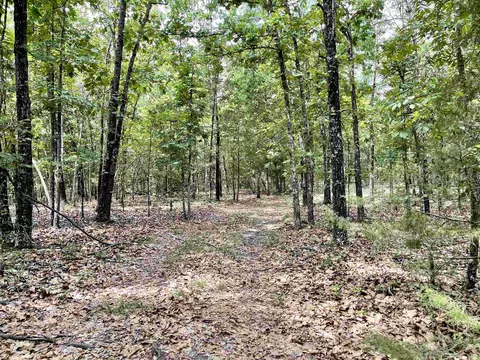 tbd Dove Rd, Gepp, AR 72538 photo 29