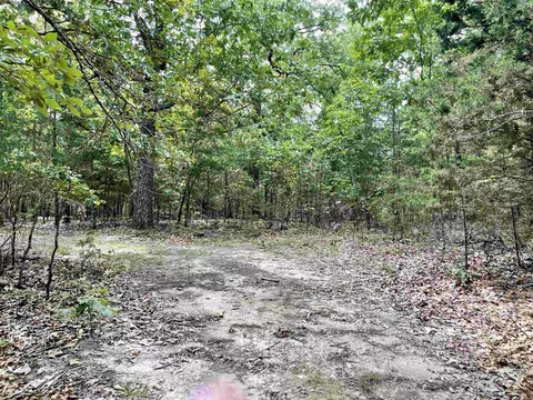tbd Dove Rd, Gepp, AR 72538 photo 14