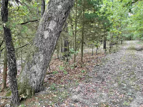 tbd Dove Rd, Gepp, AR 72538 photo 8