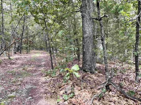 tbd Dove Rd, Gepp, AR 72538 photo 24