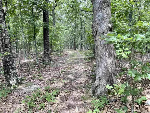 tbd Dove Rd, Gepp, AR 72538 photo 22