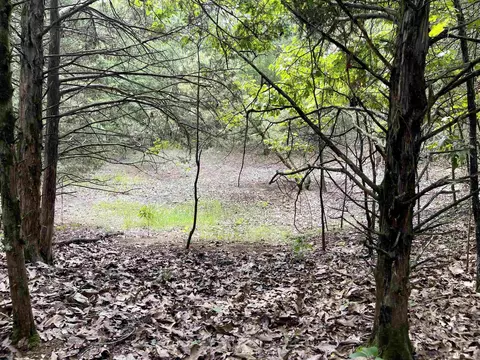 tbd Dove Rd, Gepp, AR 72538 photo 13