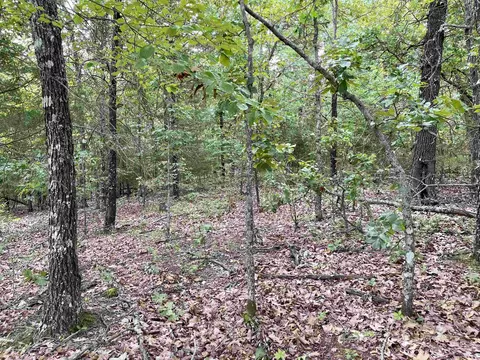 tbd Dove Rd, Gepp, AR 72538 photo 5