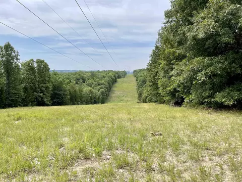 tbd Dove Rd, Gepp, AR 72538 photo 20
