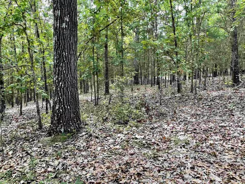 tbd Dove Rd, Gepp, AR 72538 photo 12