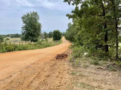 tbd Dove Rd, Gepp, AR 72538 photo 4