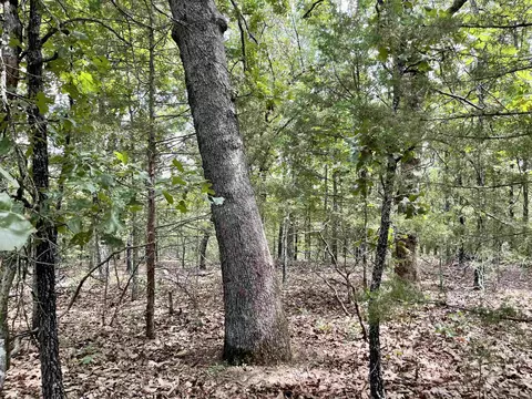 tbd Dove Rd, Gepp, AR 72538 photo 26
