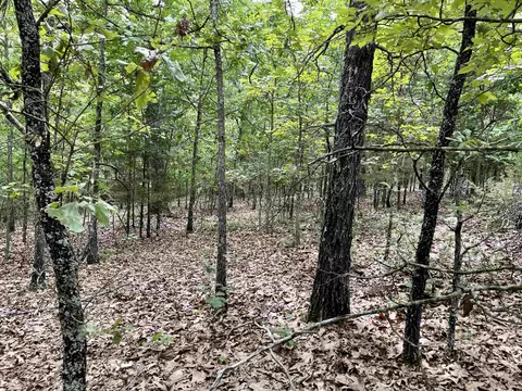 tbd Dove Rd, Gepp, AR 72538 photo 9