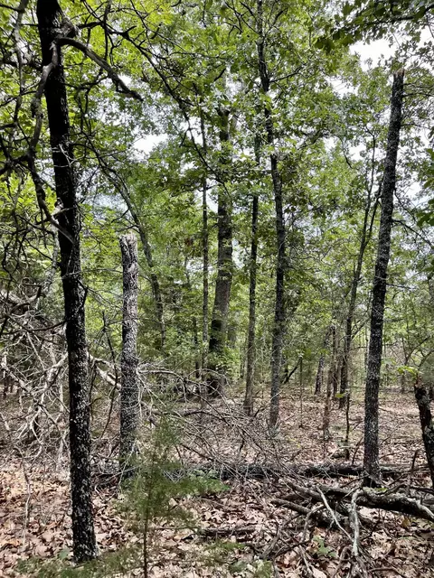 tbd Dove Rd, Gepp, AR 72538 photo 28