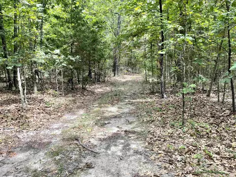 tbd Dove Rd, Gepp, AR 72538 photo 30