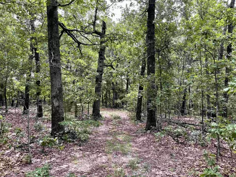 tbd Dove Rd, Gepp, AR 72538 photo 17