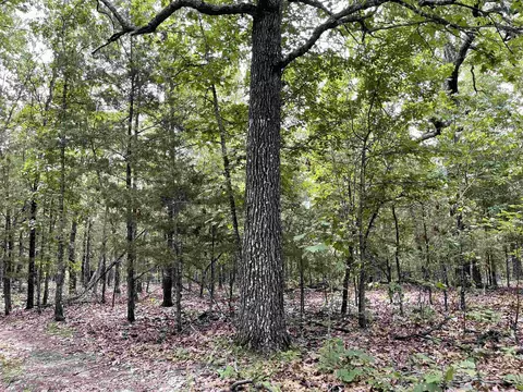 tbd Dove Rd, Gepp, AR 72538 photo 15