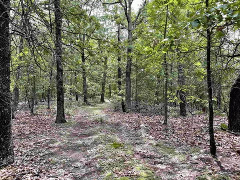 tbd Dove Rd, Gepp, AR 72538 photo 16