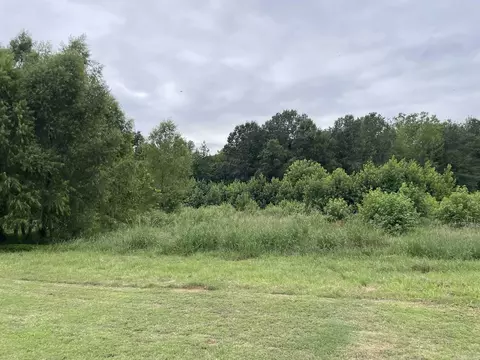 3224 Sage Grass, Alexander, AR 72002 photo 18