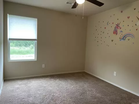 3224 Sage Grass, Alexander, AR 72002 photo 12